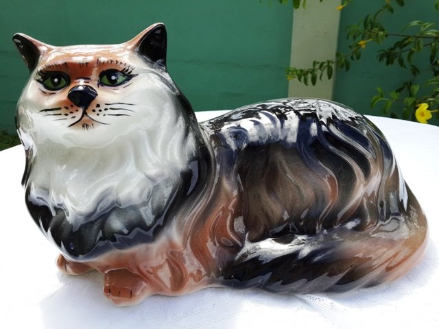 Siamese cat